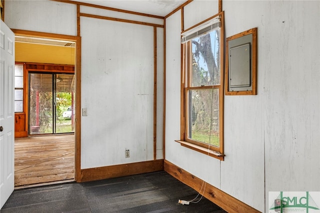 empty room with electric panel and plenty of natural light