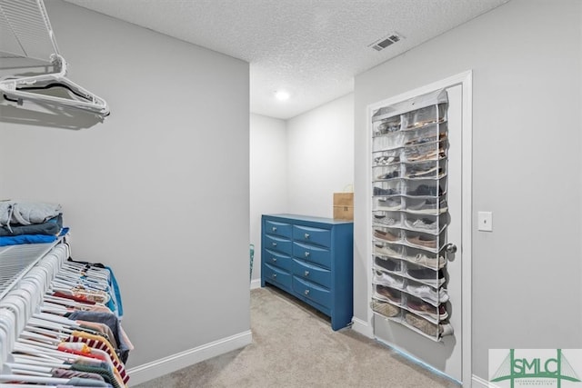 walk in closet with light carpet