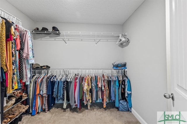 spacious closet featuring carpet floors