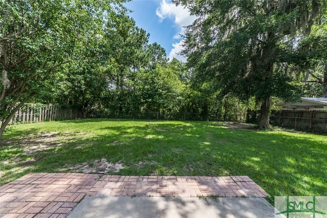 view of yard with a patio area