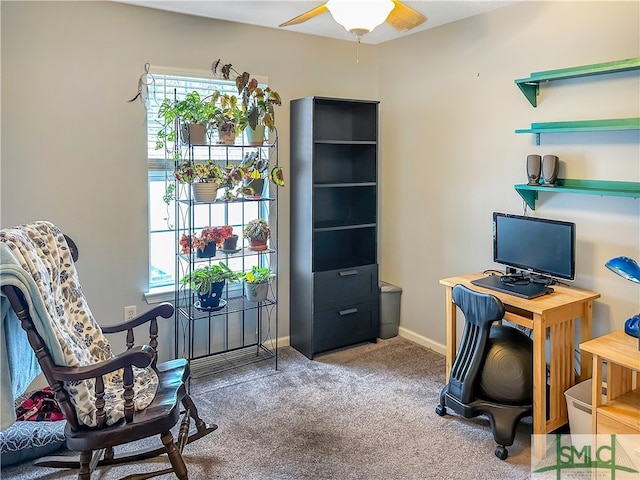 home office featuring carpet and ceiling fan