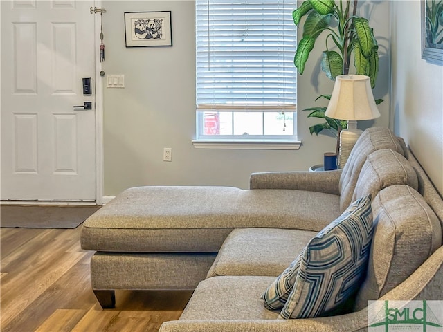 living room with hardwood / wood-style flooring