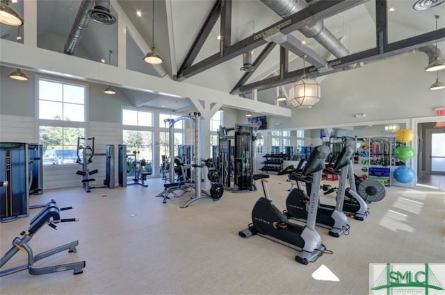 exercise room featuring high vaulted ceiling and carpet