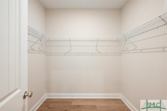 walk in closet featuring wood finished floors