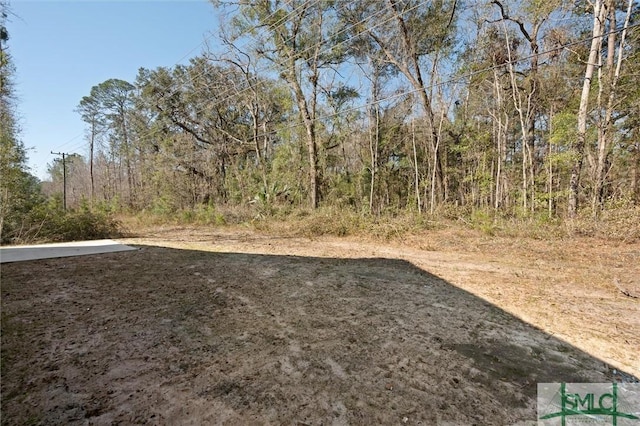 view of yard featuring a wooded view