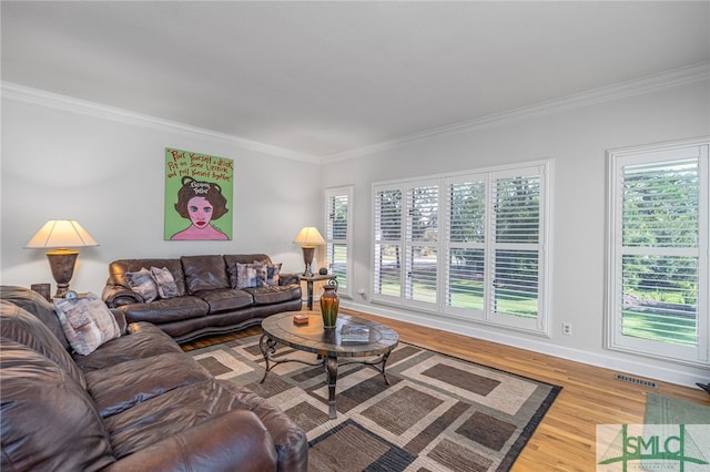 living room featuring ornamental molding and hardwood / wood-style flooring