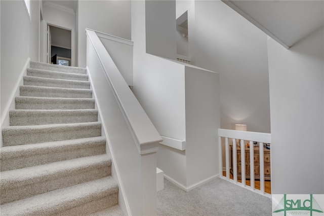 staircase with carpet flooring