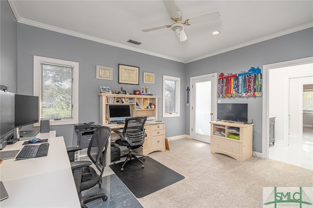 carpeted office space with plenty of natural light, ceiling fan, and crown molding