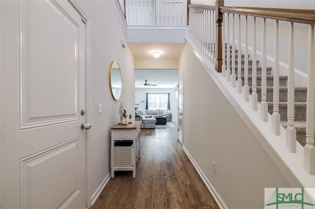 hallway featuring dark hardwood / wood-style flooring