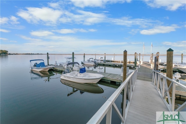 dock area with a water view