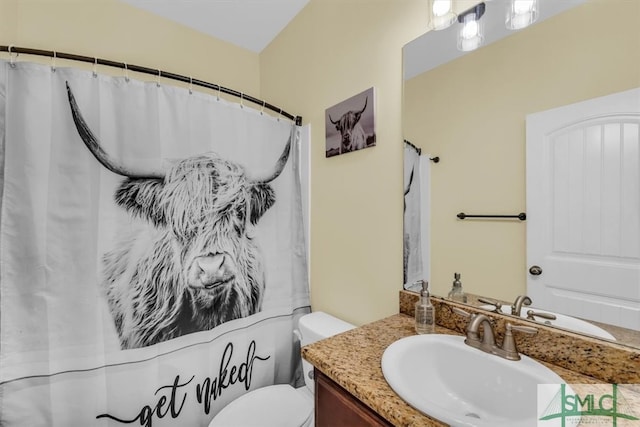 bathroom featuring toilet and vanity