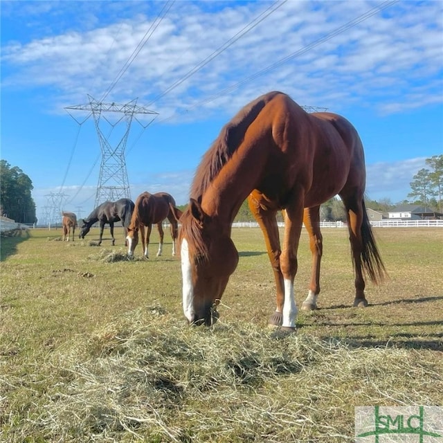 view of horse barn with a rural view