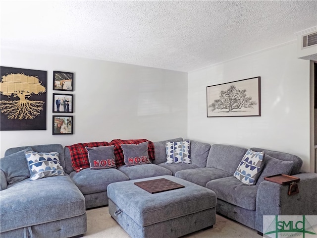 carpeted living room with a textured ceiling