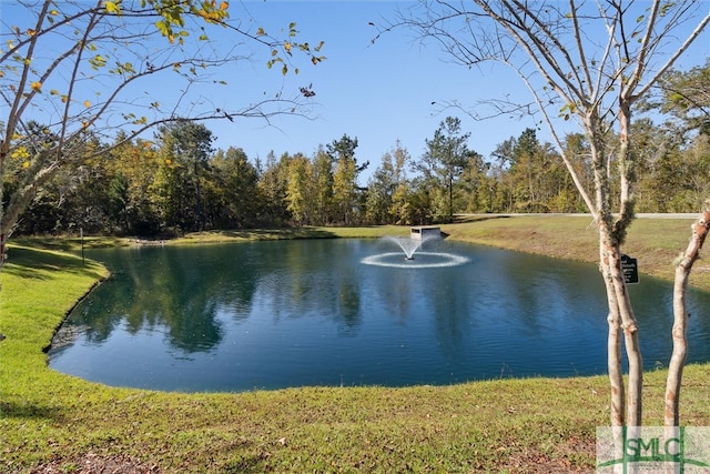 view of water feature