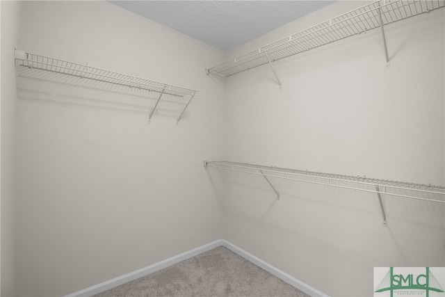 walk in closet featuring carpet flooring