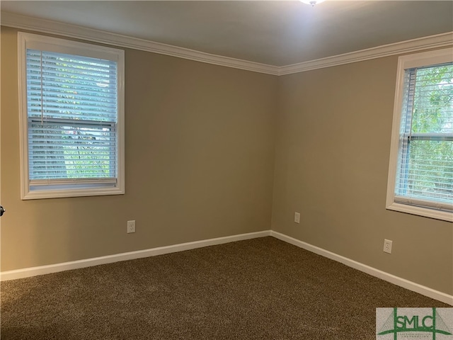 spare room featuring carpet flooring, ornamental molding, and a healthy amount of sunlight