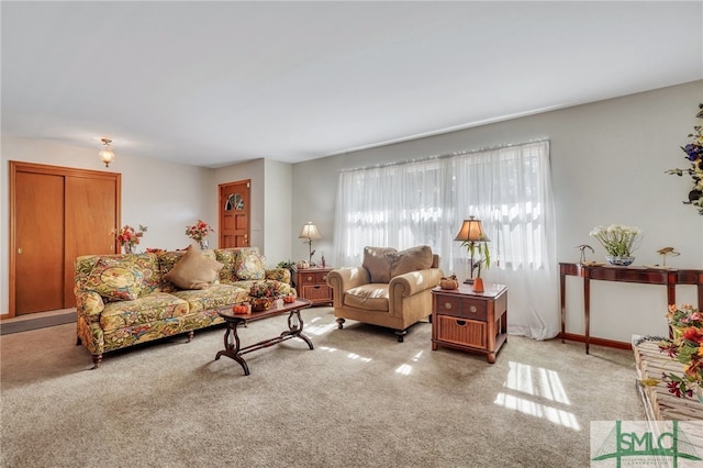 living room featuring light carpet