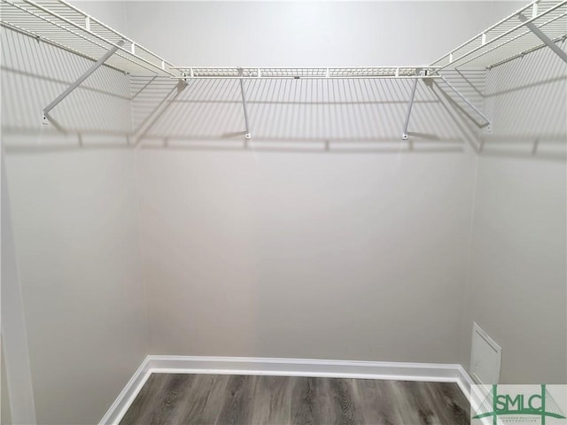 spacious closet featuring dark wood-style flooring