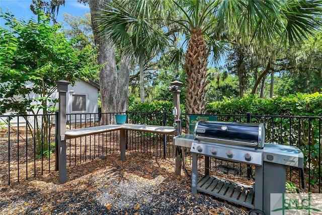 wooden terrace with grilling area