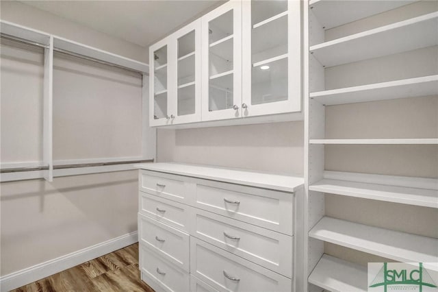 spacious closet with wood-type flooring