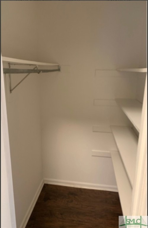 walk in closet featuring dark hardwood / wood-style floors