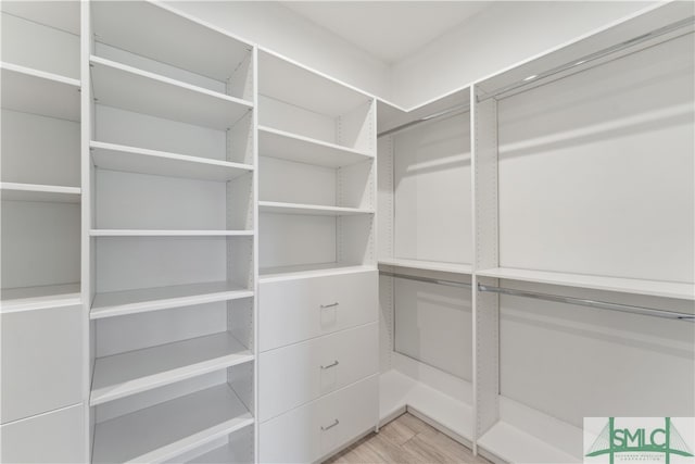 spacious closet with hardwood / wood-style floors