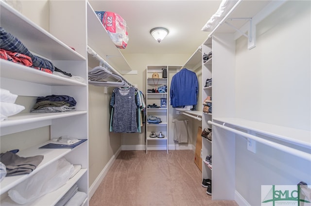 walk in closet with light carpet