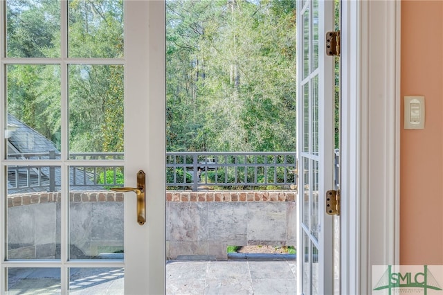 entryway with a healthy amount of sunlight