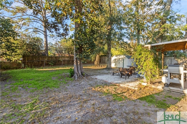 view of yard featuring a patio and a storage unit