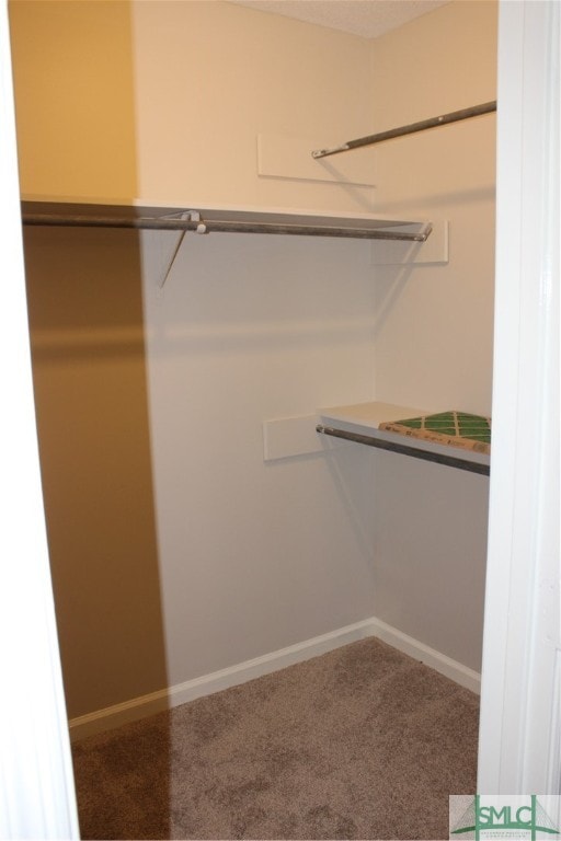 spacious closet featuring carpet