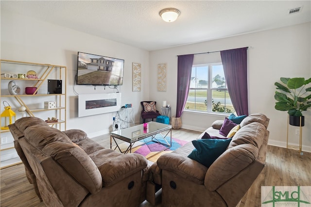 living room featuring hardwood / wood-style floors and a textured ceiling