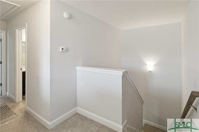 staircase featuring a textured ceiling and carpet floors