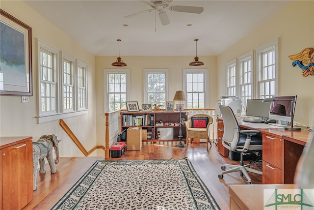 home office featuring ceiling fan and light hardwood / wood-style flooring