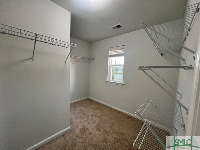 walk in closet featuring carpet