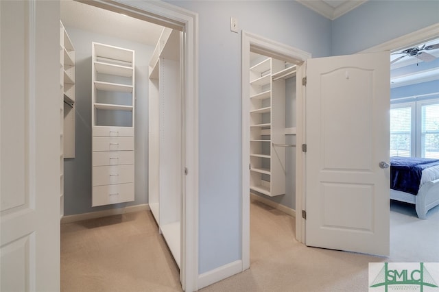 spacious closet featuring light carpet