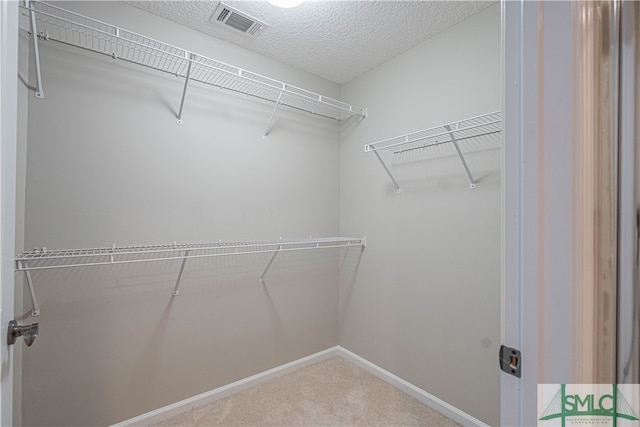 spacious closet featuring carpet floors