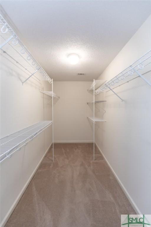 walk in closet with carpet floors