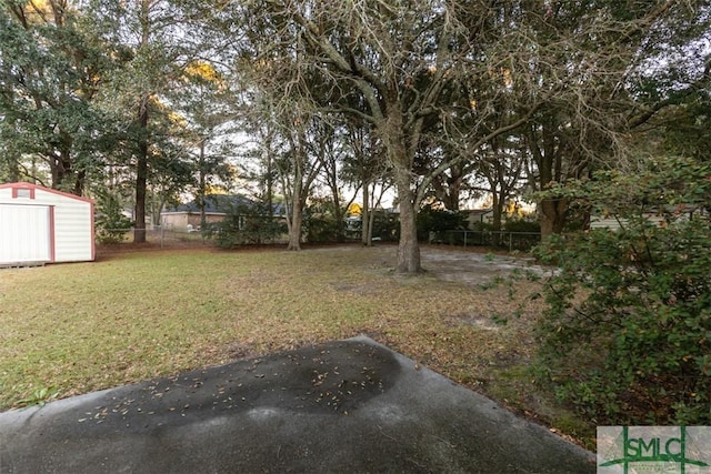 view of yard with a storage shed