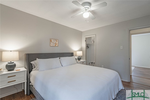 bedroom with a walk in closet, ceiling fan, a closet, and dark wood-type flooring