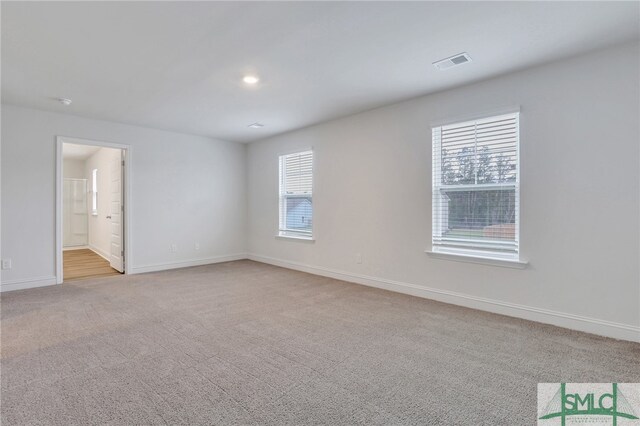 empty room featuring light carpet and plenty of natural light