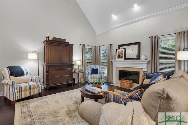 living room with a fireplace, dark hardwood / wood-style flooring, high vaulted ceiling, and plenty of natural light