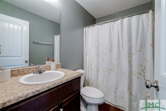 bathroom featuring vanity, wood-type flooring, and toilet