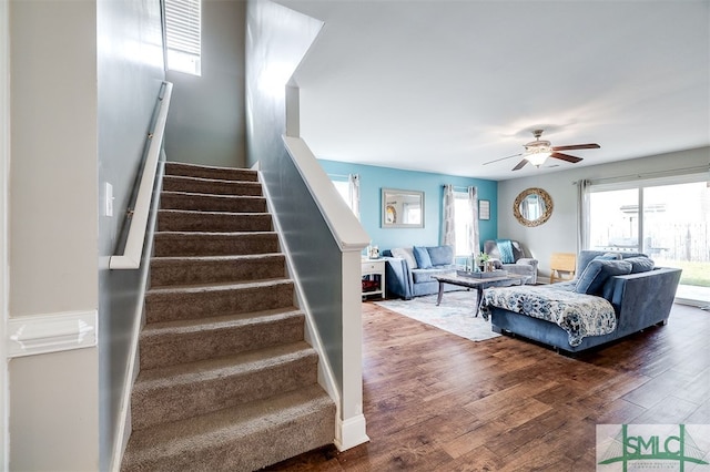 staircase featuring hardwood / wood-style flooring and ceiling fan