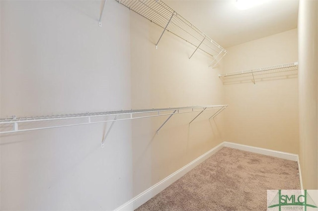 walk in closet with carpet floors