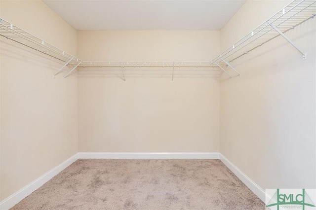 spacious closet with carpet floors