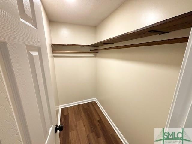 spacious closet with hardwood / wood-style flooring