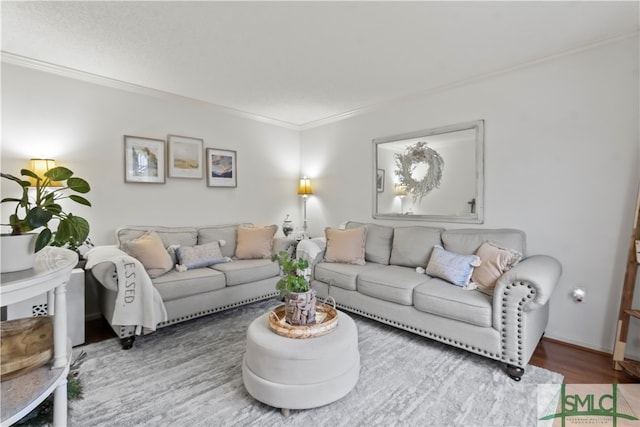 living room featuring hardwood / wood-style floors and ornamental molding