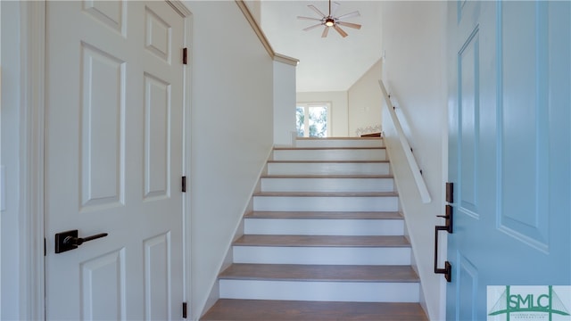 stairway with hardwood / wood-style flooring and ceiling fan