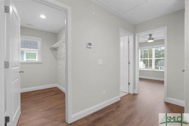 hallway featuring dark hardwood / wood-style flooring