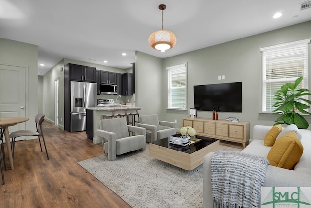 living room featuring dark hardwood / wood-style floors, plenty of natural light, and sink